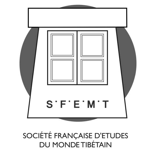 logo Sfemt