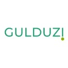 Logo Gulduzi