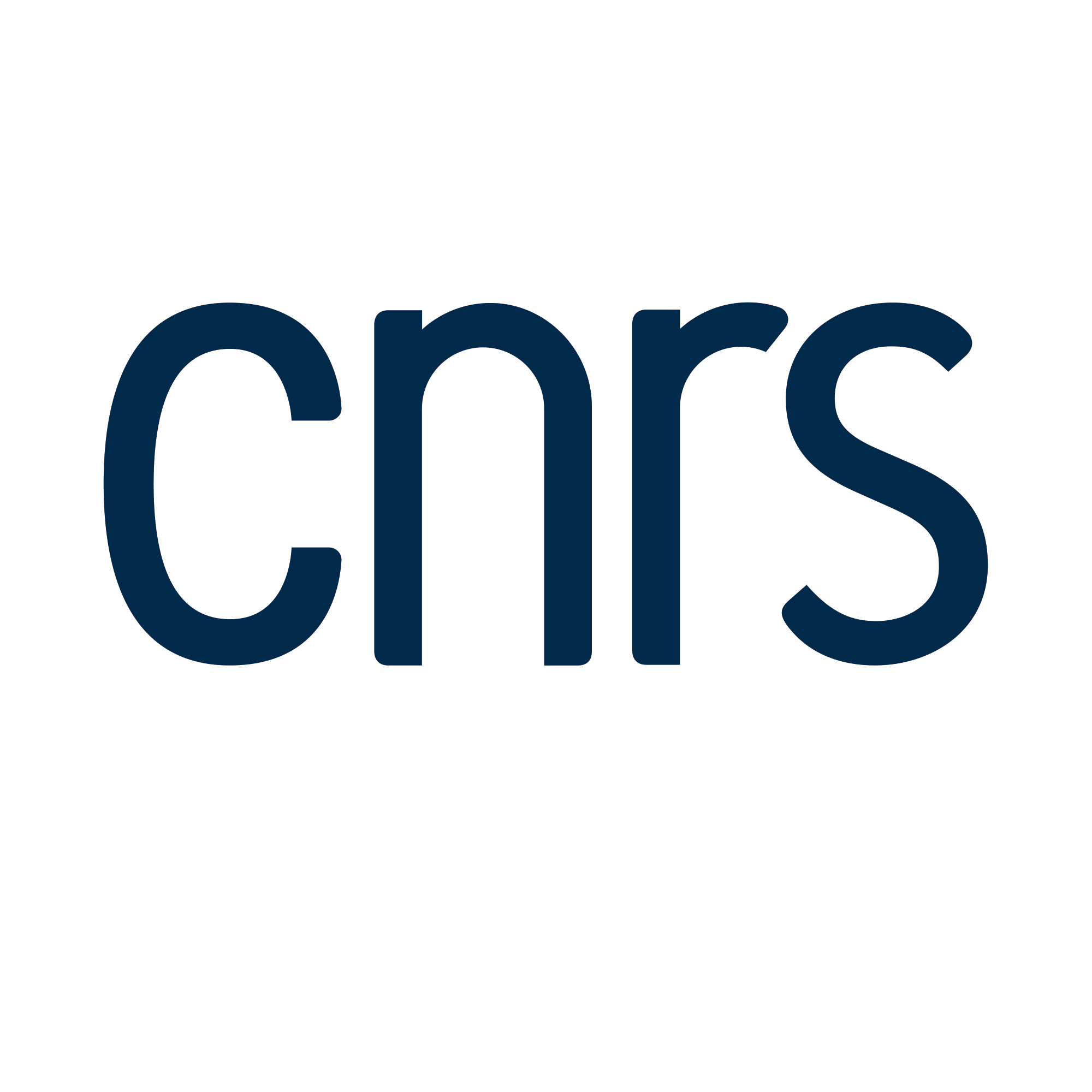 Logo CNRS Blanc