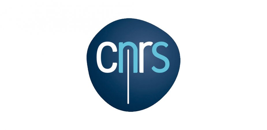 logo cnrs