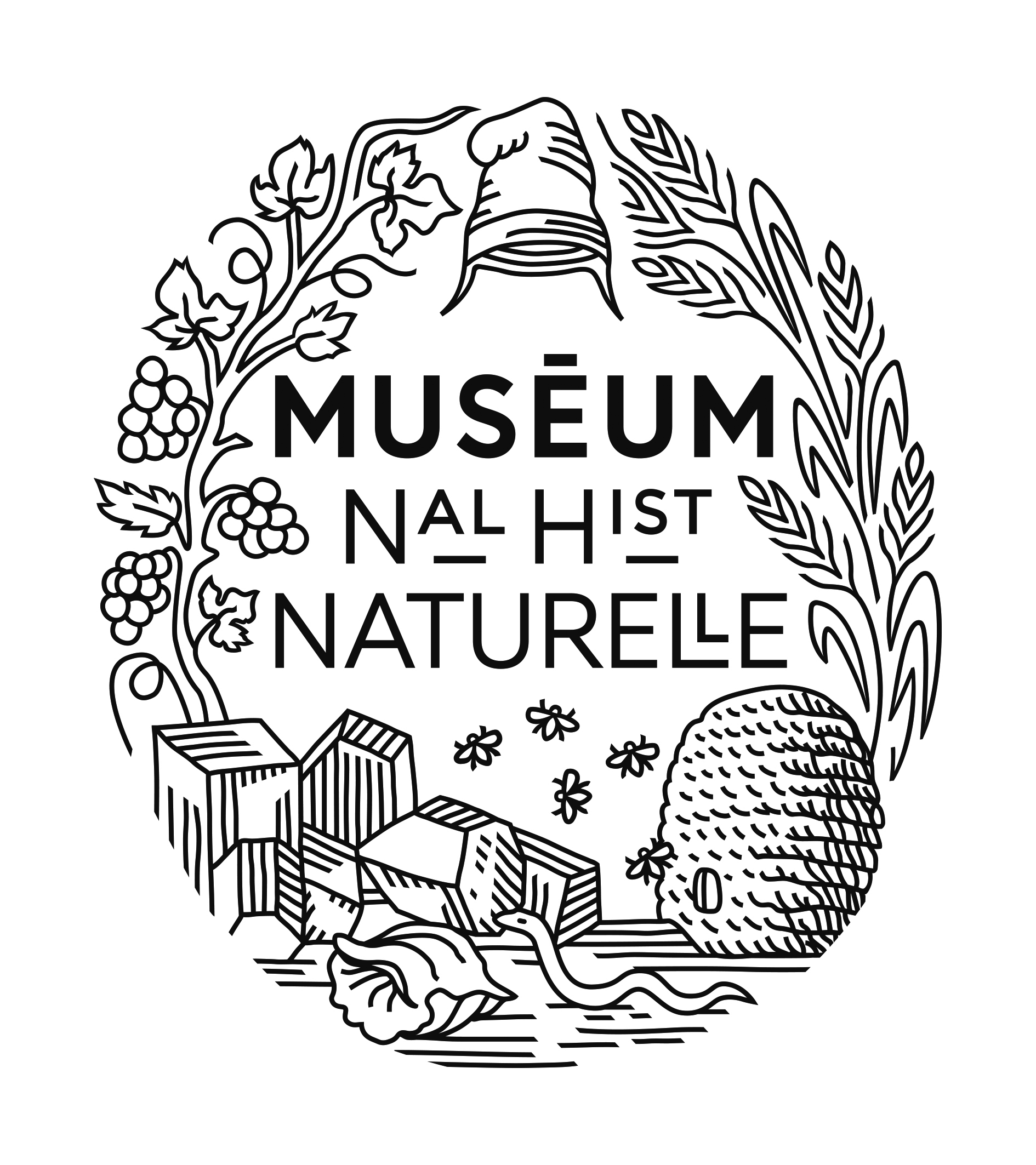Logo muséum histoire naturelle