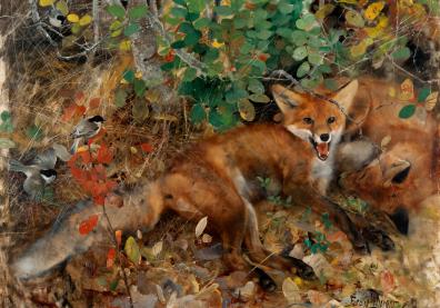 Renards