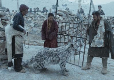 3 hommes tibétains se trouvent autour d'un léopard. Tout est enneigé