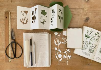 Cut-out paper herbarium