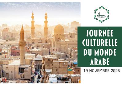 Vue panoramique des remparts de la vieille ville du Caire