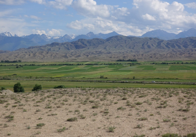 Paysage de sable, avec en arrière plan de l'herbe verte et une montagne