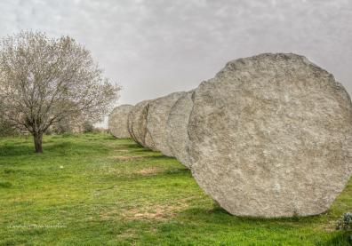 Magdalena Abakanowicz, Negev