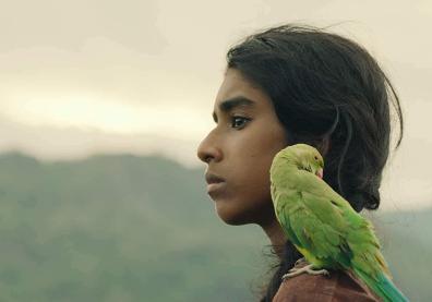 une enfant de profil, avec un perroquet sur l'épaule 