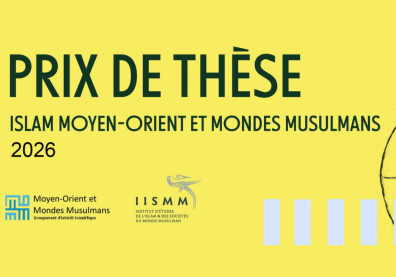 Visuel du Prix de thèse IMOMM 2026