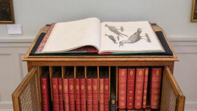 Volumes de la Description de l'Egypte