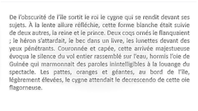 Figure 2 - extrait d'une courte histoire rédigée en classe de français (FLE) par un apprenant de niveau avancé