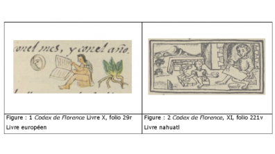 Aztèque - Figure : 1 Codex de Florence Livre X, folio 29r - Livre européen -- Figure : 2 Codex de Florence, XI, folio 221v - Livre nahuatl