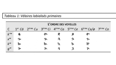 Tableau 4 : Vélaires labialisés primaires