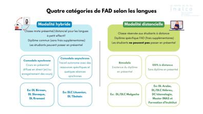 Présentation des quatre catégories de formation à distance (FAD) pour les langues à l'INALCO, distinguant les modalités hybrides et distancielles selon les spécificités des diplômes et des modes d'enseignement.