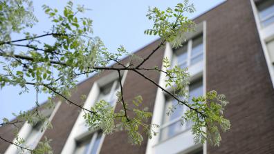 bâtiment PLC