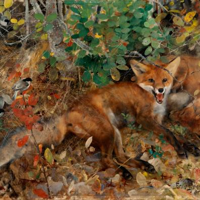 Renards