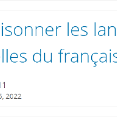 Conception du MOOC Décloisonnons les langues - Image 1 - En-tête