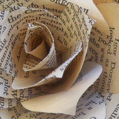 Rose en lettres