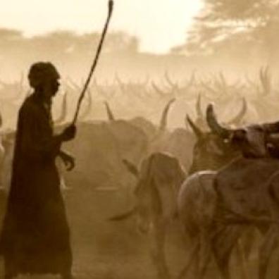 Une encyclopédie des littératures orales africaines