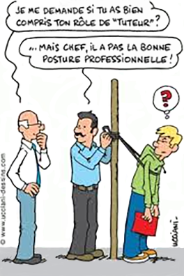 Le Tutorat en entreprise - Dessin de Ucciani