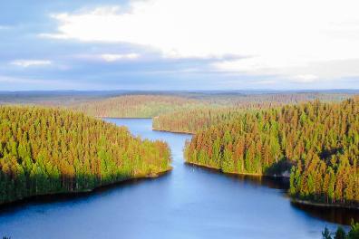 Le parc national de Repovesi, à Kouvola en Finlande