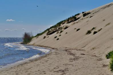 Une dune devant la mer