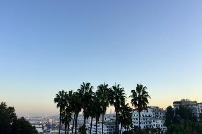 Vue sur la ville d'Alger au coucher de soleil avec des palmiers