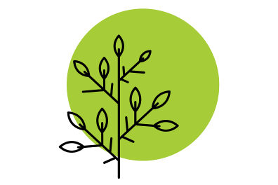 Contour de branches dans un rond vert