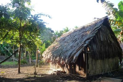 Maison Traditionnelle, Vanuatu
