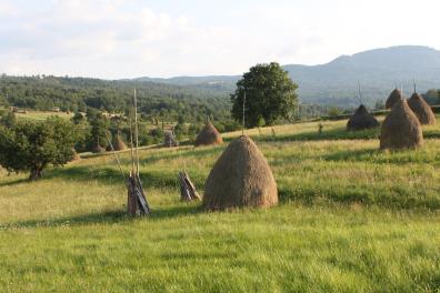 paysage du Maramures