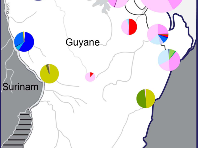 Carte 1 Langues parlées en Guyane