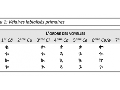 Tableau 4 : Vélaires labialisés primaires