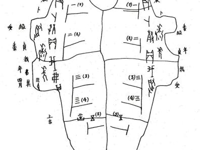 La Forêt des Pinceaux - André Kneib - Fig. 2 Carapace de tortue portant des inscriptions en jiaguwen.