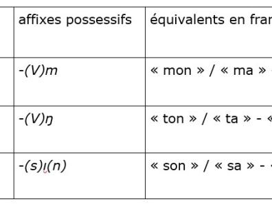 salar affixes possessifs