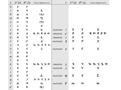 Tableau 5 : Récapitulatif des consonnes labialisées