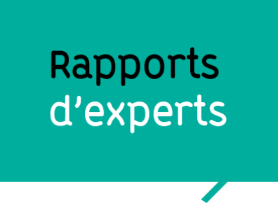 Rapports d'experts