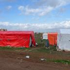 Photographie des tentes des familles doms Mansour, 23 janvier 2024, région d’Irbid, Jordanie