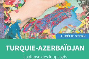 Dessin d'un loup avec plusieurs couleurs