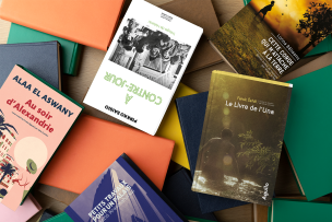 Plusieurs livres éparpillés 