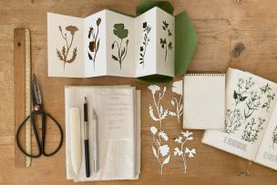 Cut-out paper herbarium