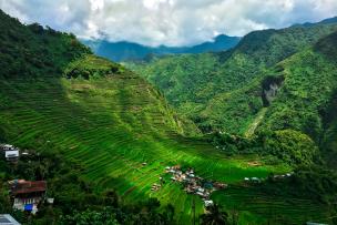 Philippines, Photographie aérienne des rizières en terrasses