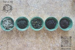 5 tasses avec différents types de thé 