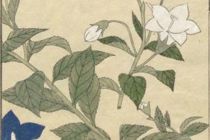 dessin japobais de fleurs