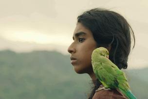 une enfant de profil, avec un perroquet sur l'épaule 