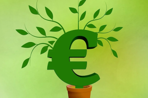 Symbole euro avec des jeunes pousses de plantes