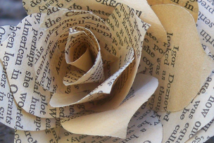 Rose en lettres