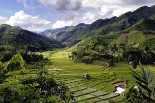 champs de riz dans une vallée de montagne